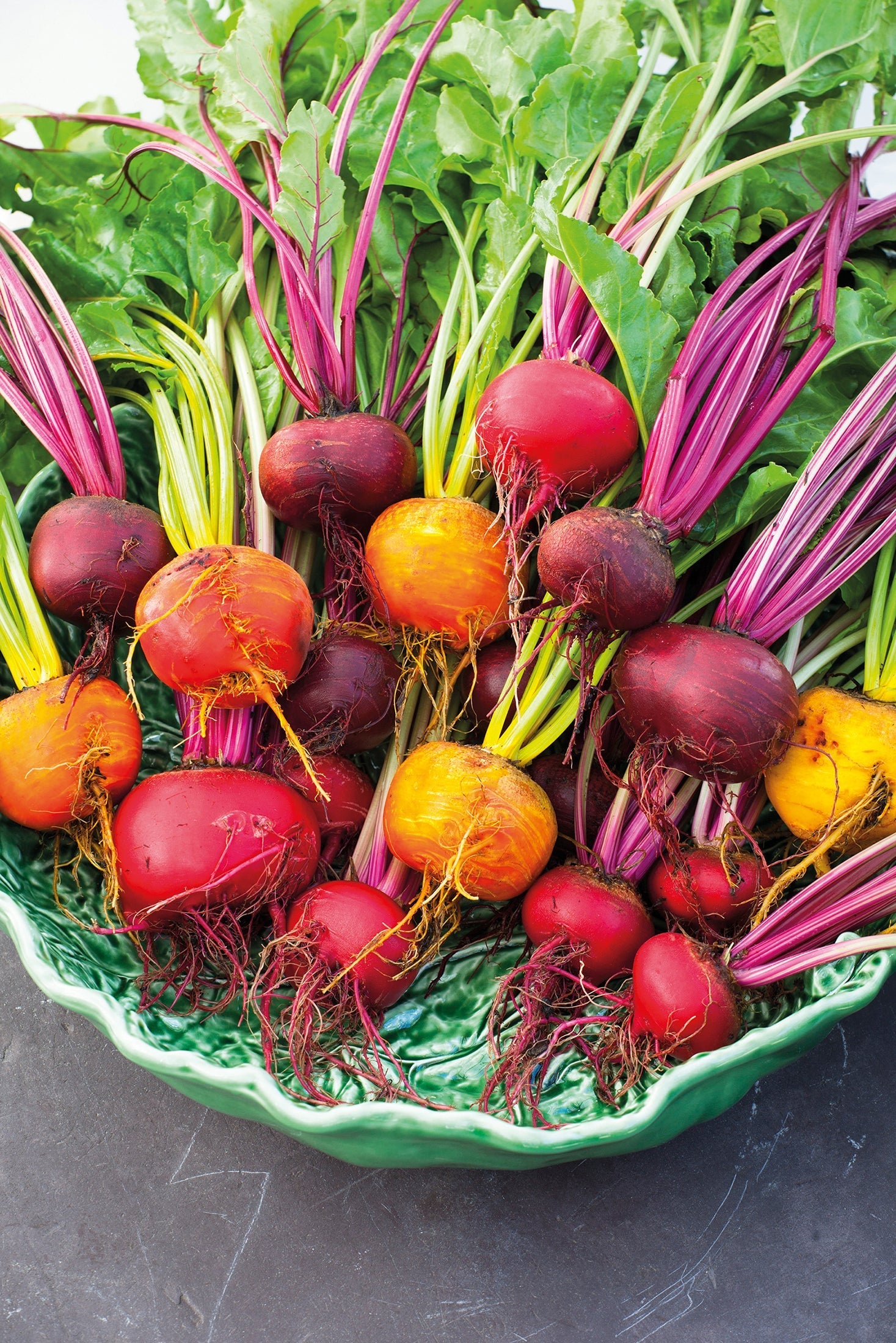 How to plant, grow & care for beetroot