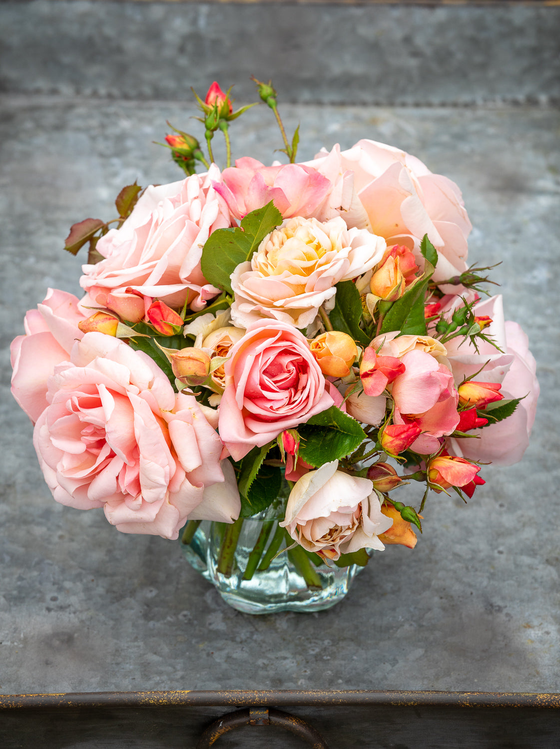 Sarah’s top roses for cutting