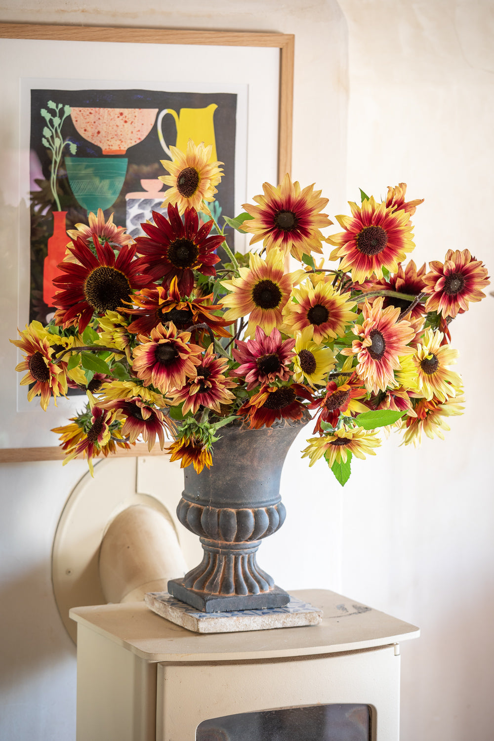How to plant, grow & care for sunflowers