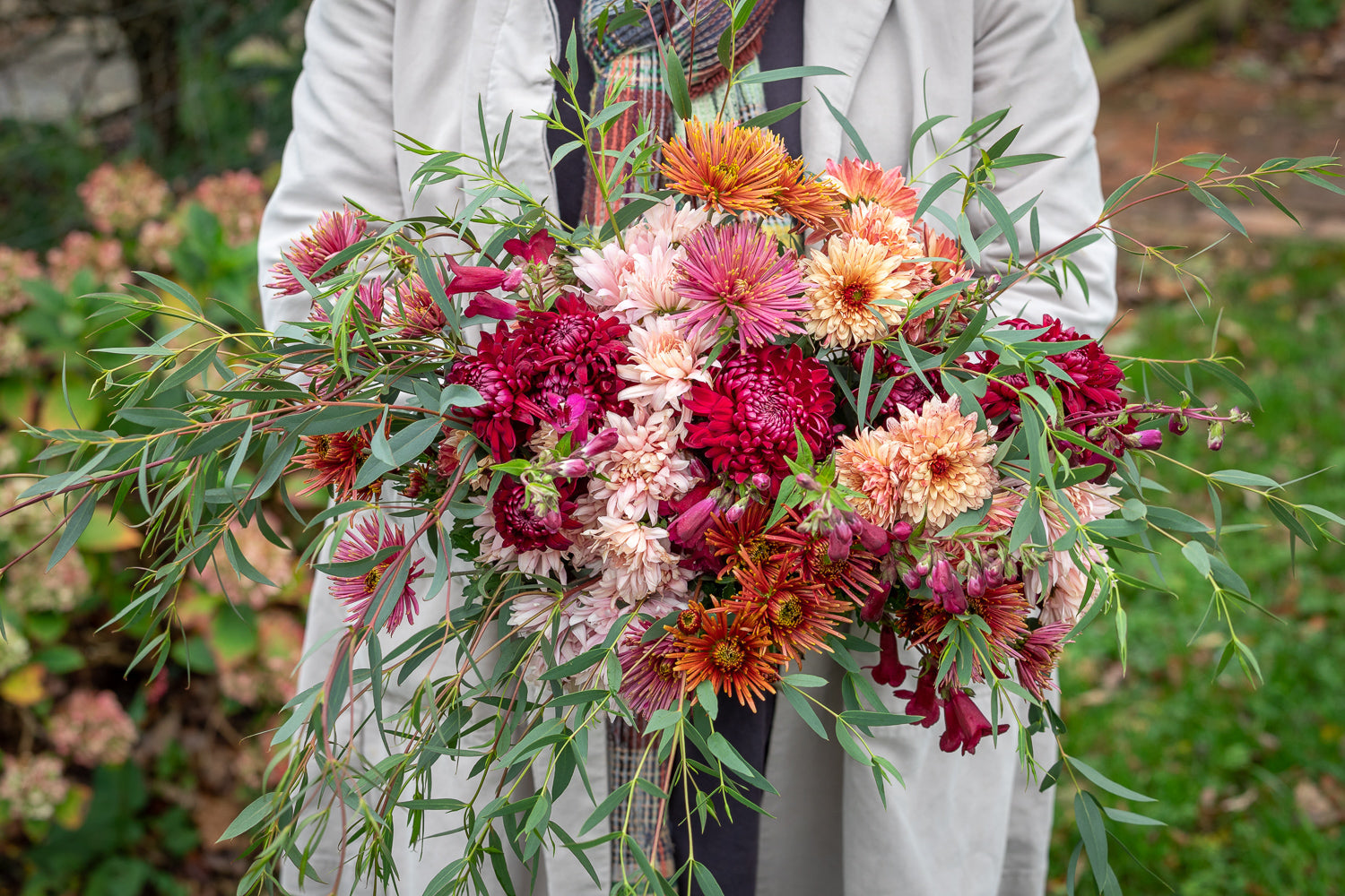 How to plant, grow & care for chrysanthemums