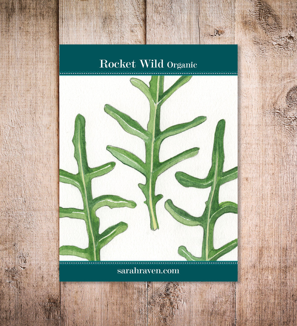 Wild Rocket