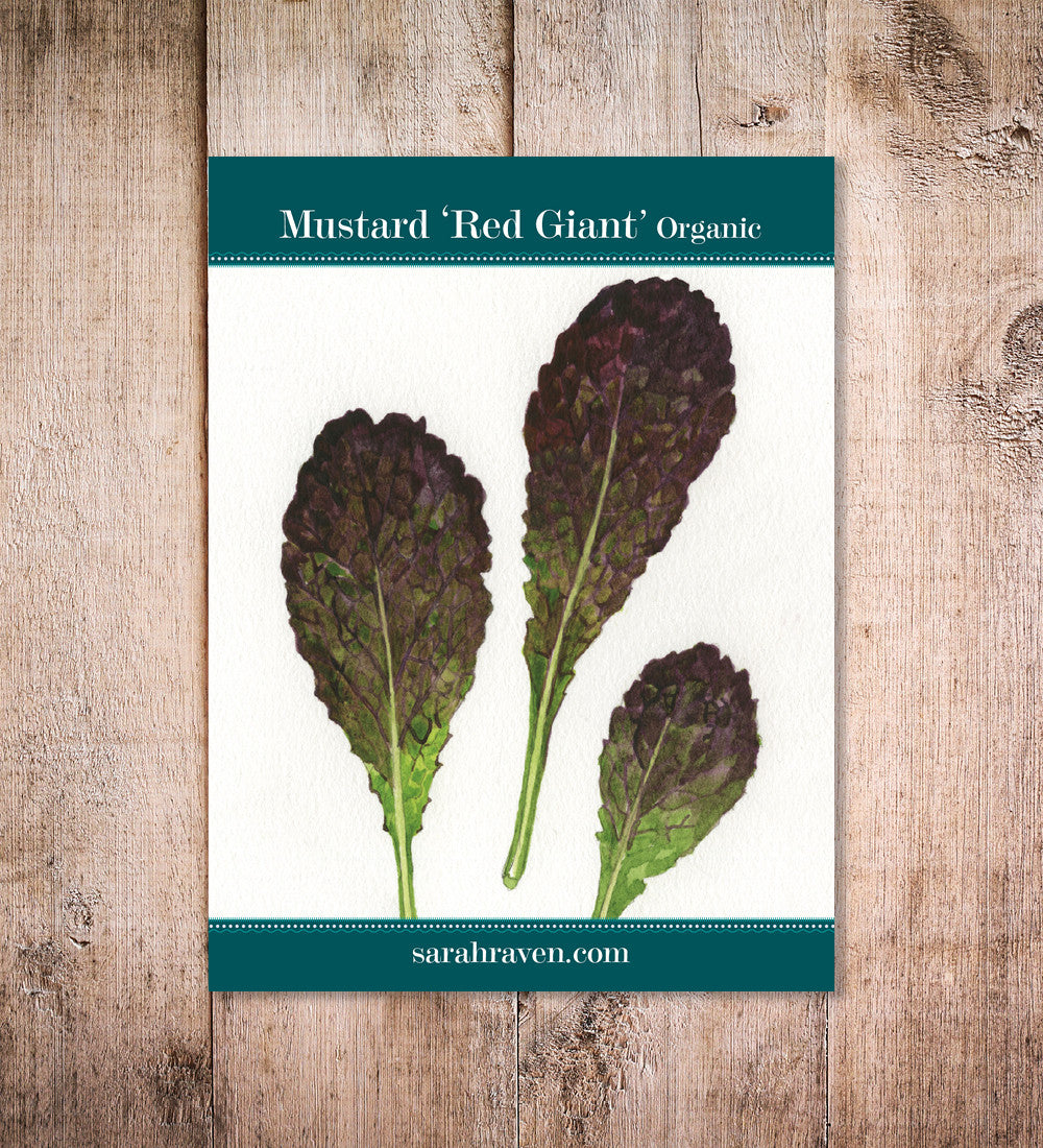 Mustard 'Red Giant'