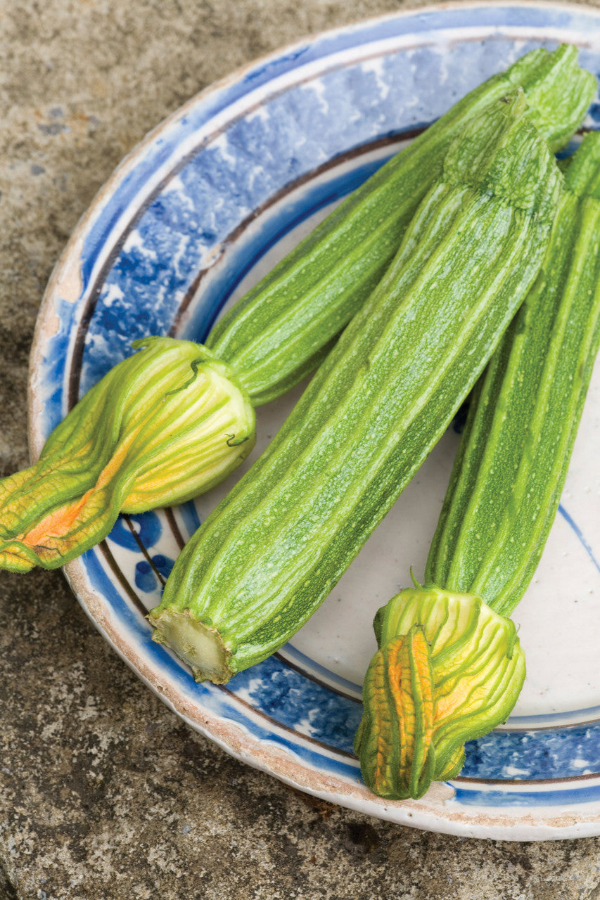 Courgette 'Romanesco'