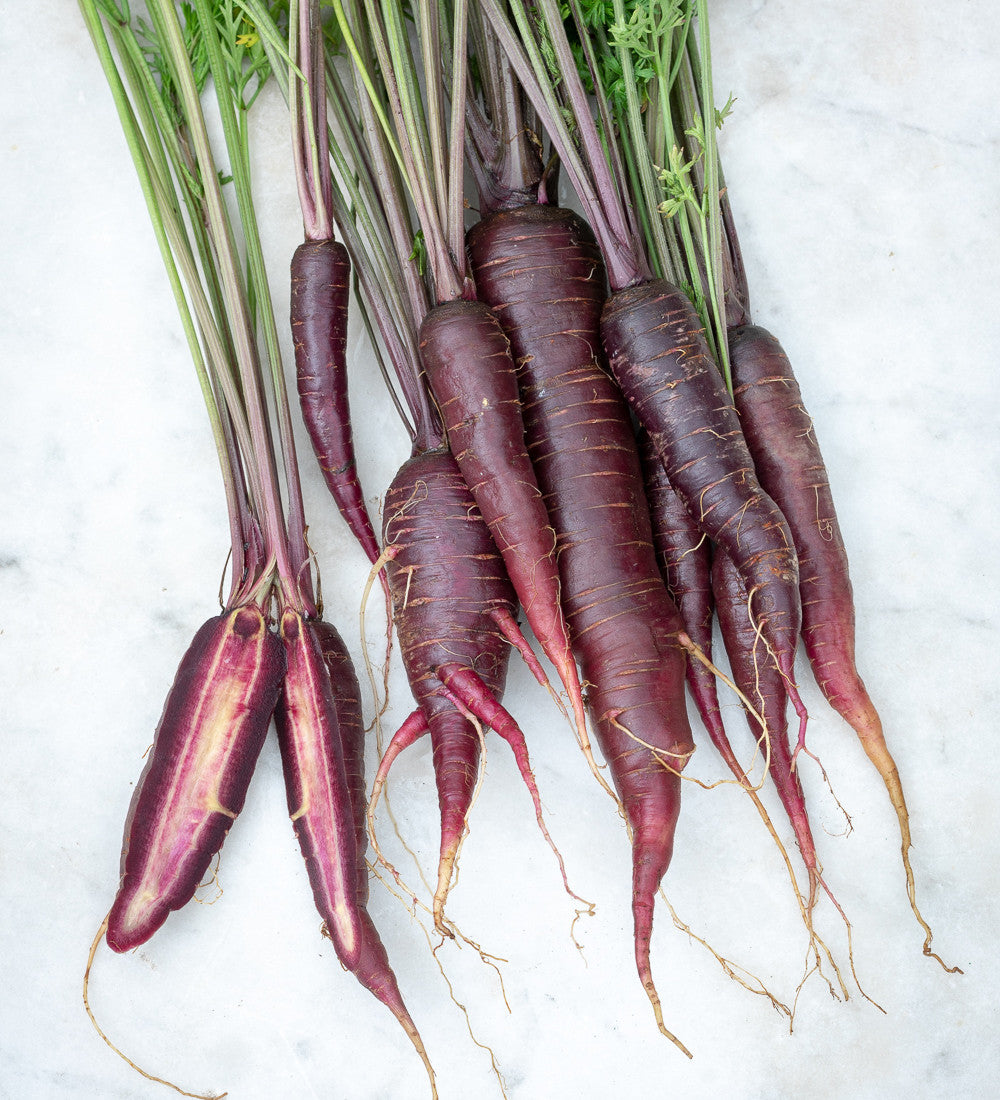 Carrot 'Purple Sun' F1