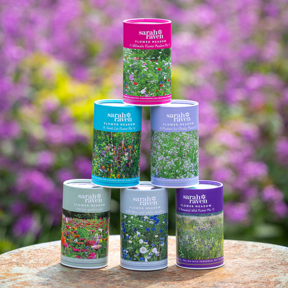 Sarah Raven Ultimate Flower Meadow Mix Seeds