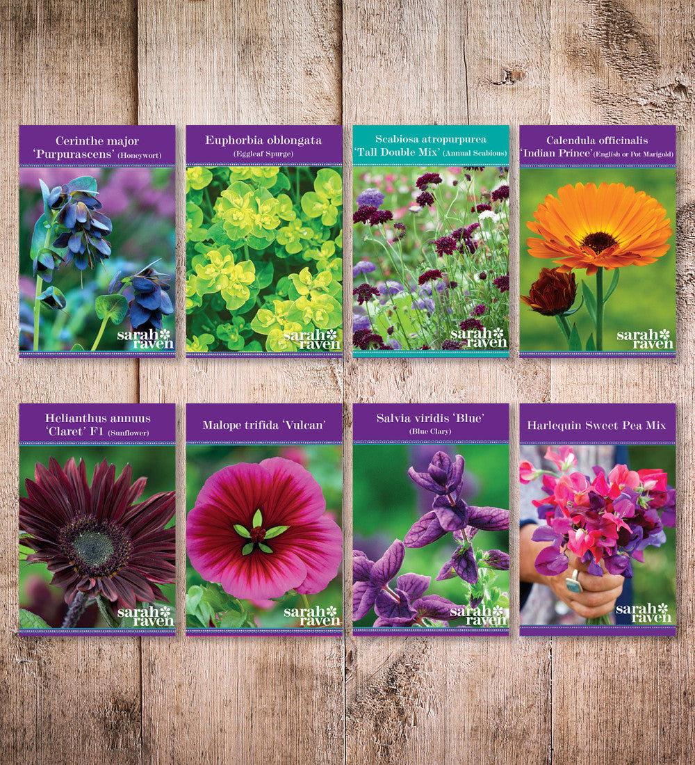 Cutting Patch Seed Collection
