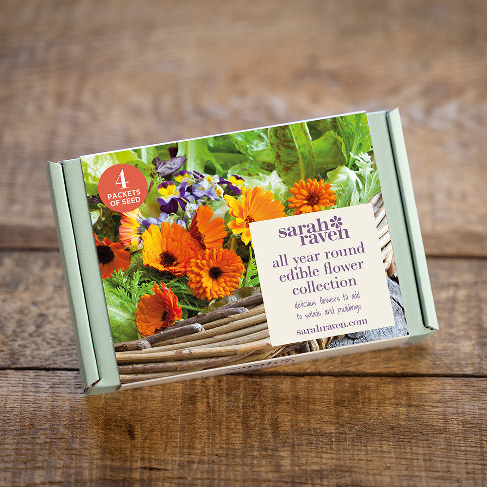 All Year Edible Flower Seed Collection