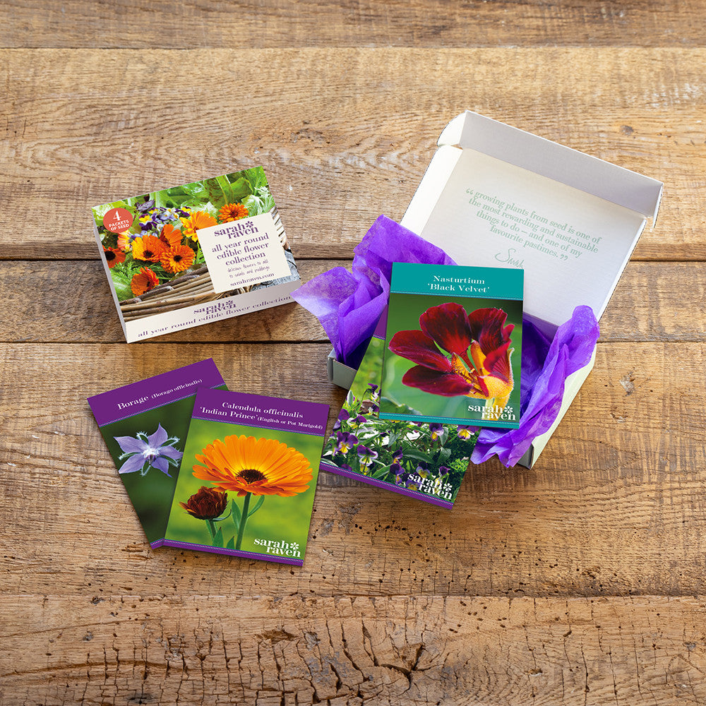 All Year Edible Flower Seed Collection