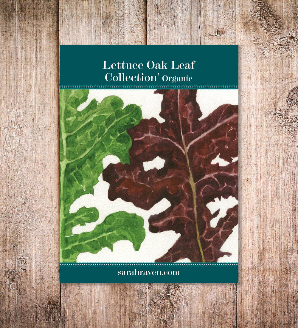 Lettuce Oak Leaf Collection