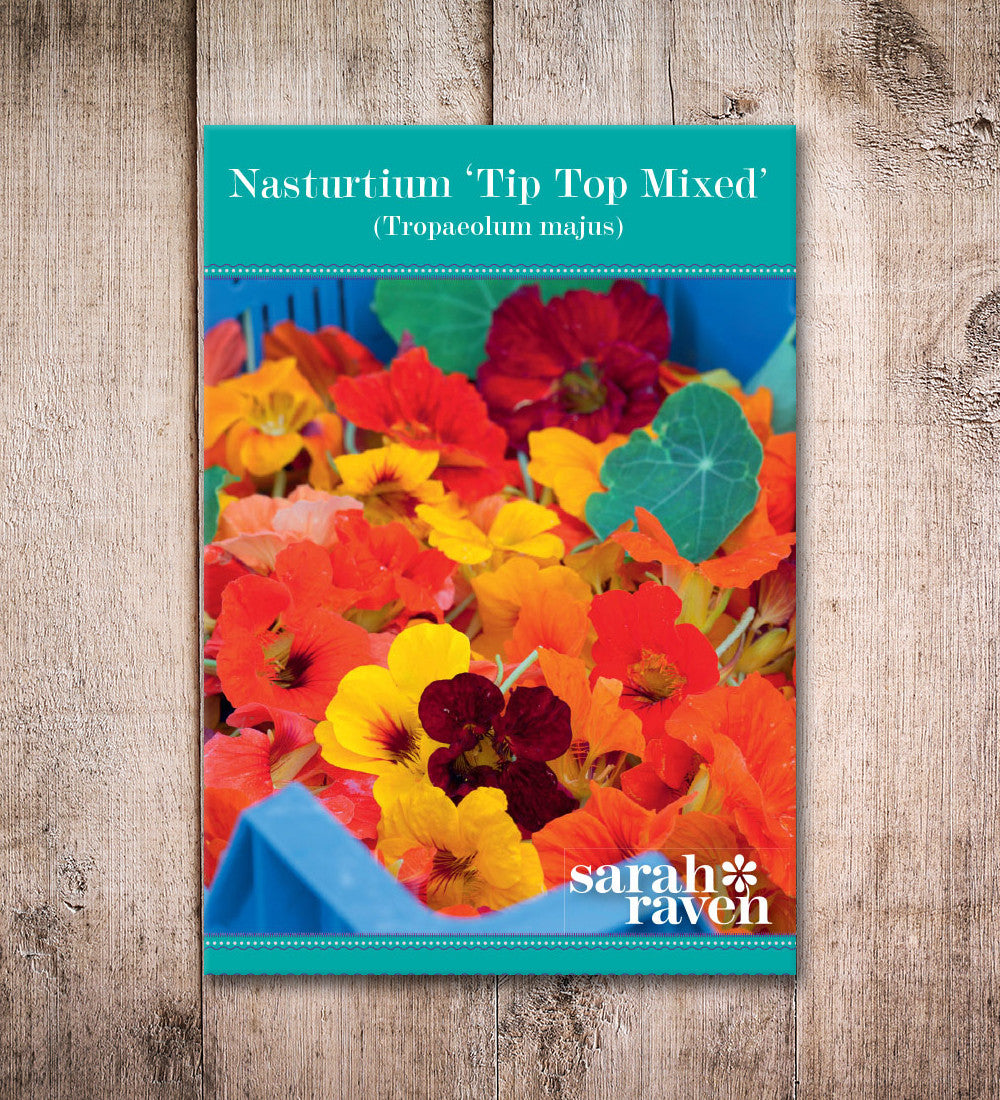Nasturtium 'Tip Top Mix' (Tropaeolum majus)