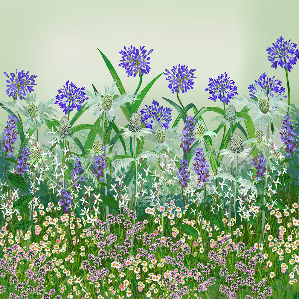 Sandy Soil Border Collection