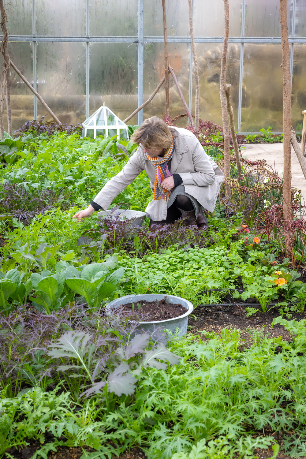 Year Round Veg with Sarah Raven at Perch Hill