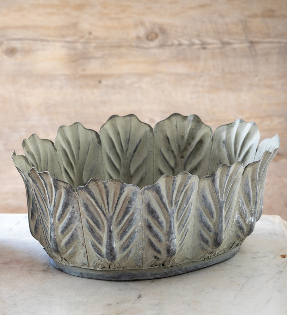 Hyacinths in Leaf Planter