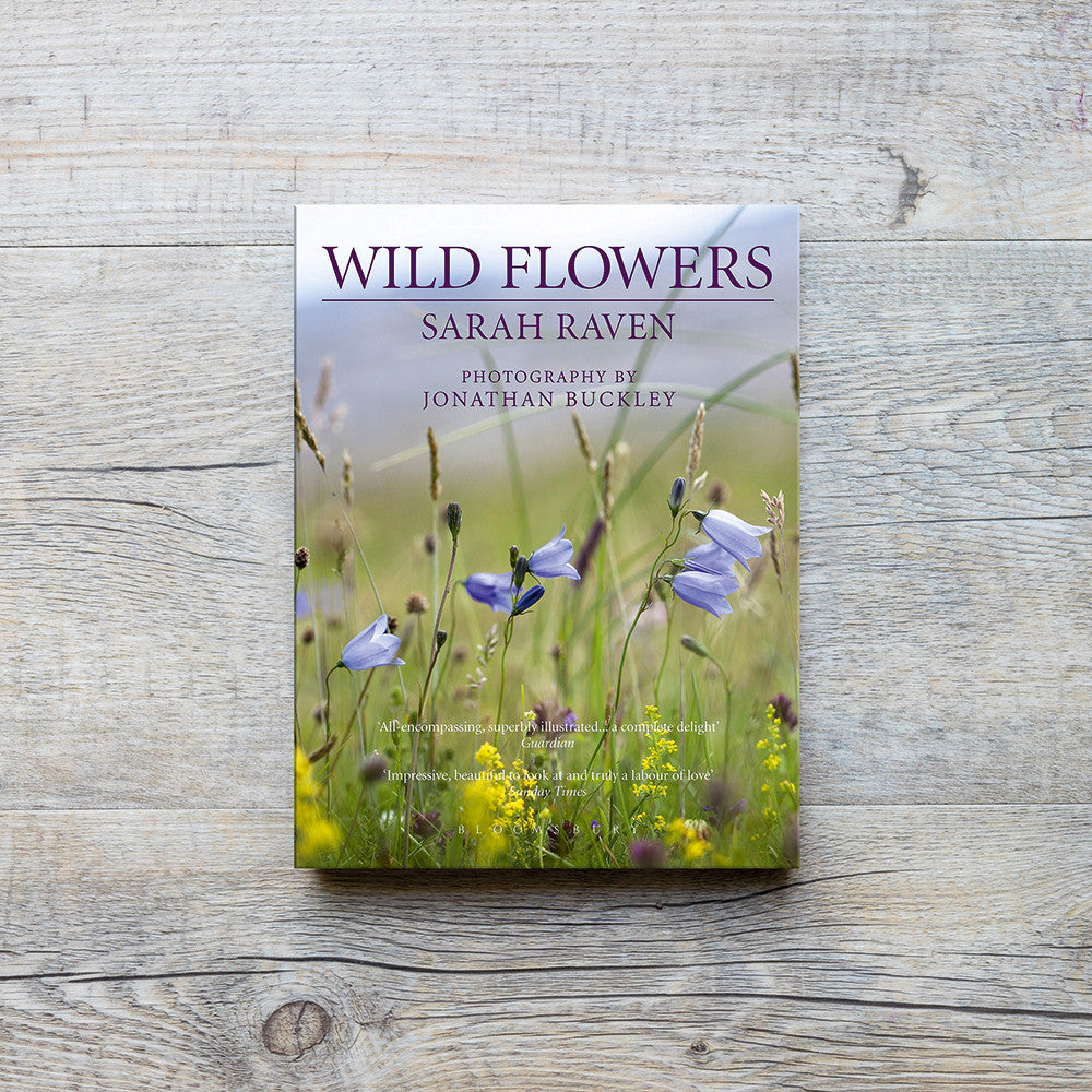 Sarah Raven's Wild Flowers