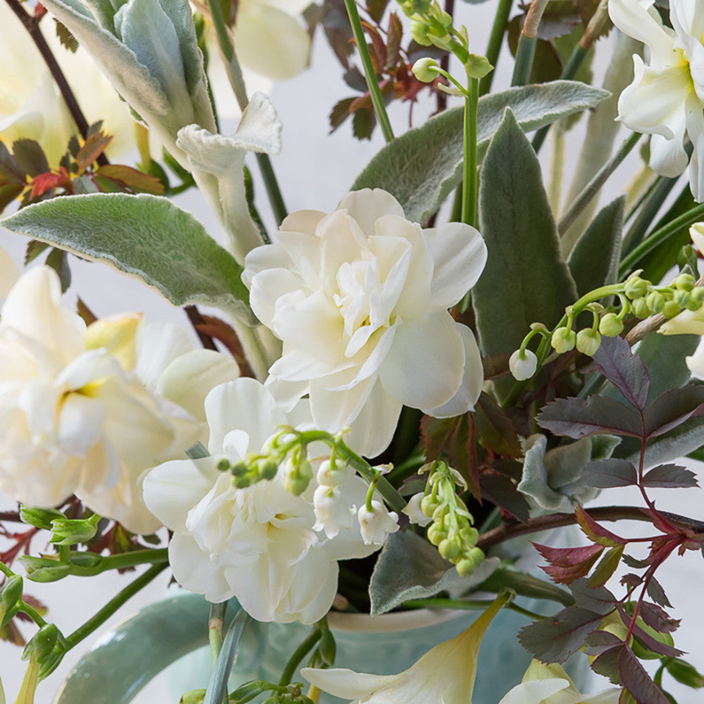 Narcissus 'Rose of May'