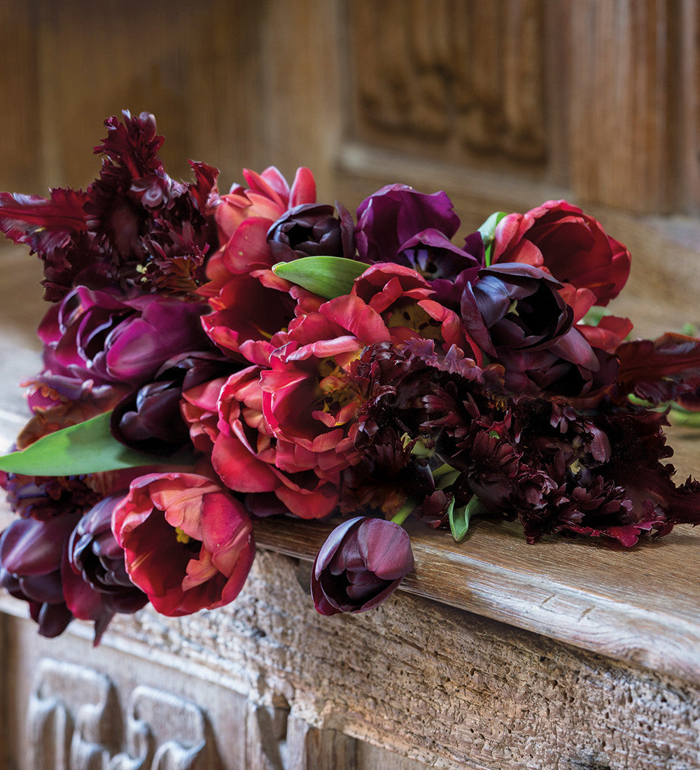 Byzantine Tulip Collection | Tulip Mixes | Sarah Raven
