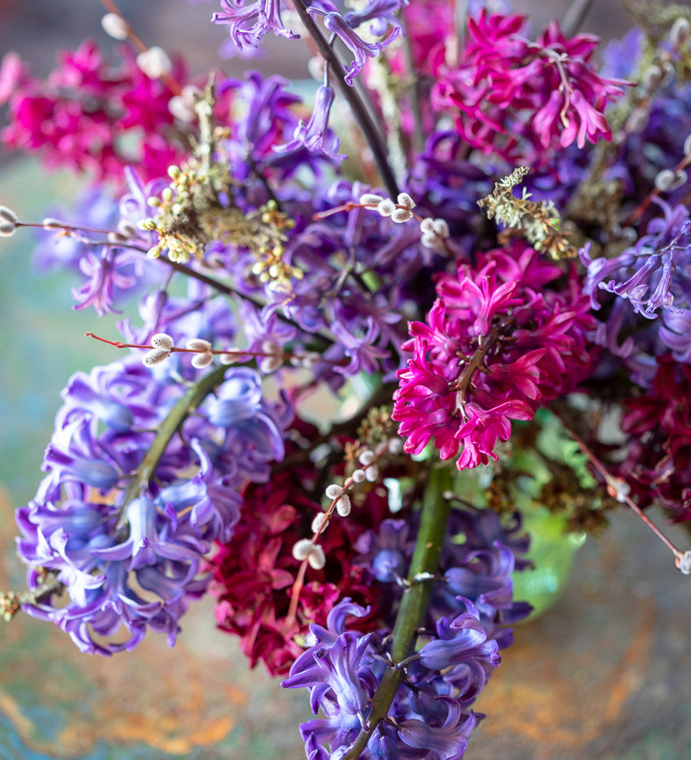 The Jewel Hyacinth Collection
