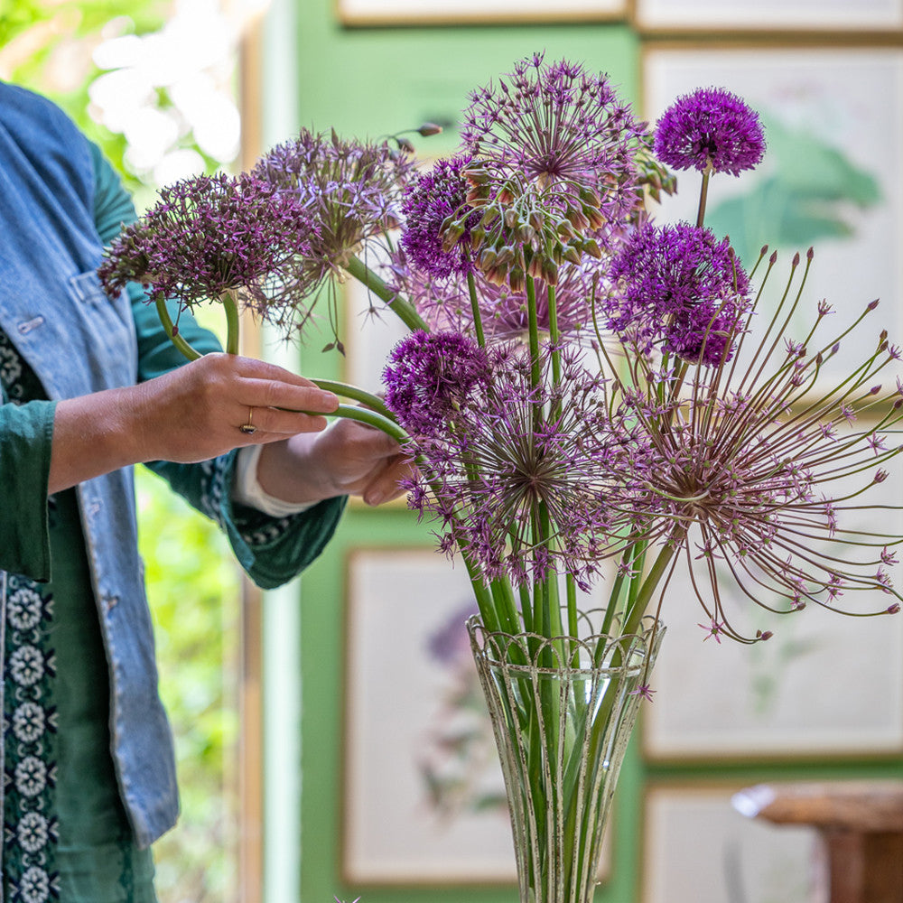 Sarah's Desert Island Allium Collection | Allium Bulbs | Sarah Raven