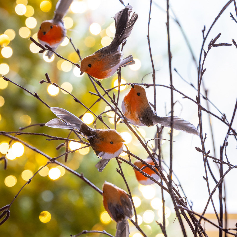 Clip-on Robins