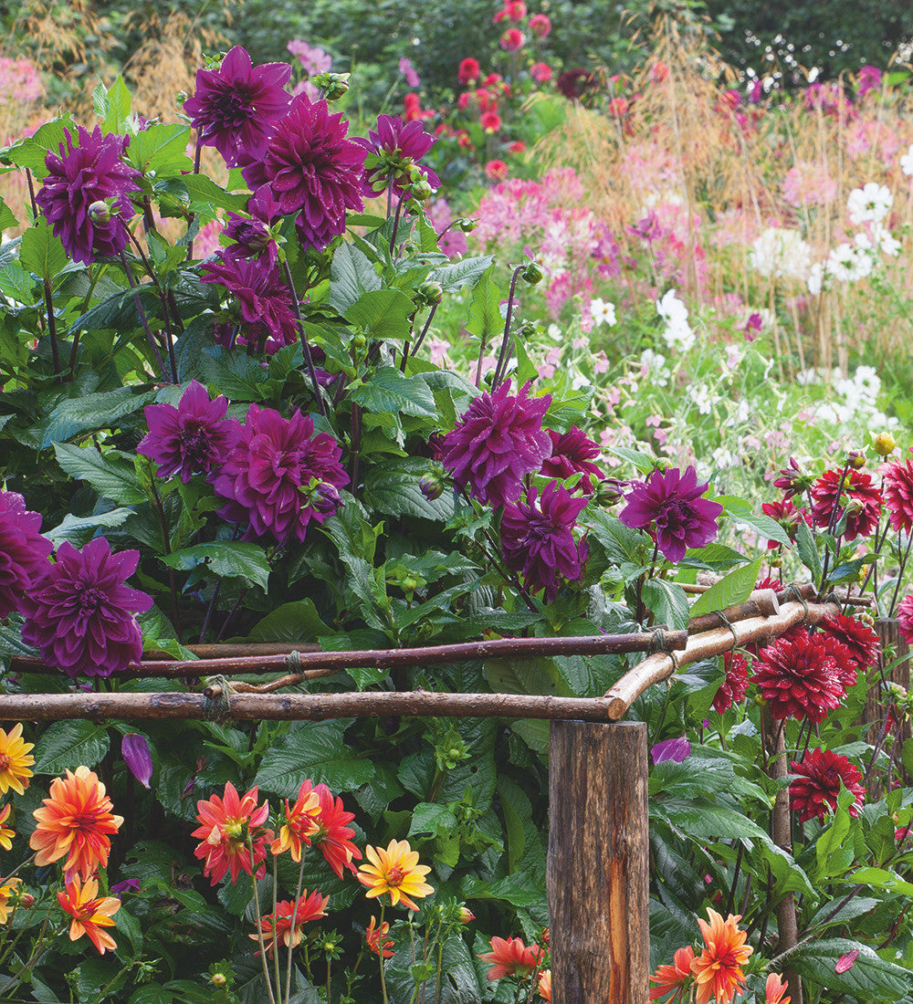 Willow Flower Stakes