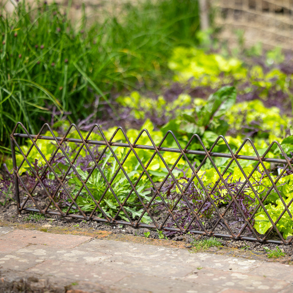 Latticed Metal Edging