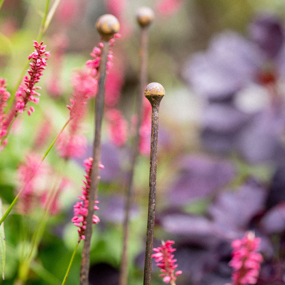 Slimline Plant Stakes