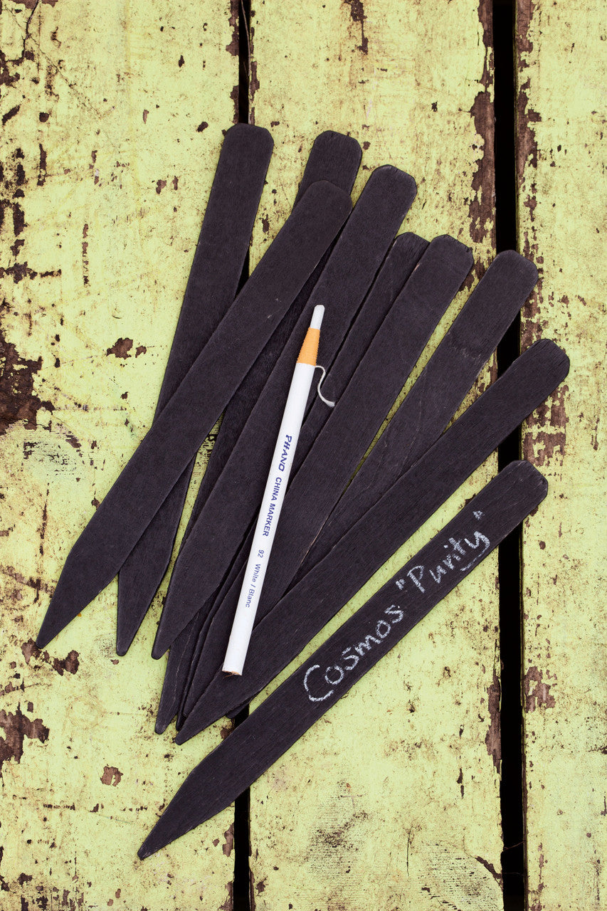 Blackboard Labels and Pencil