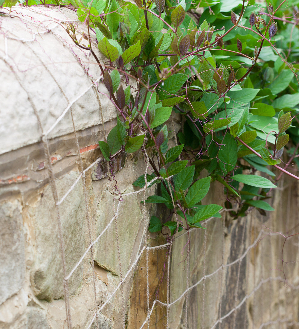 Natural Jute Netting