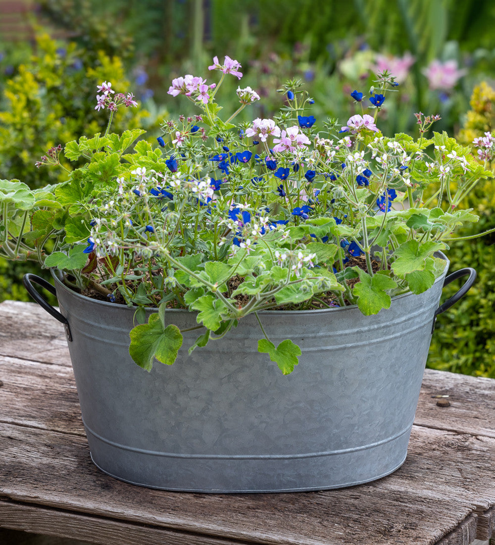 Large Oval Zinc Planter