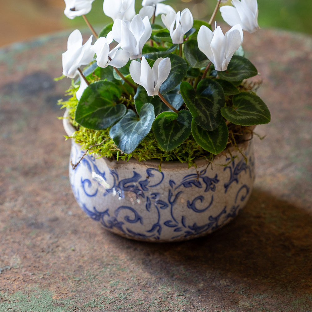 Wavy Edged Blue Ceramic Bowls