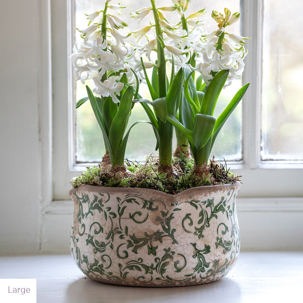 Wavy Edged Green Ceramic Bowls
