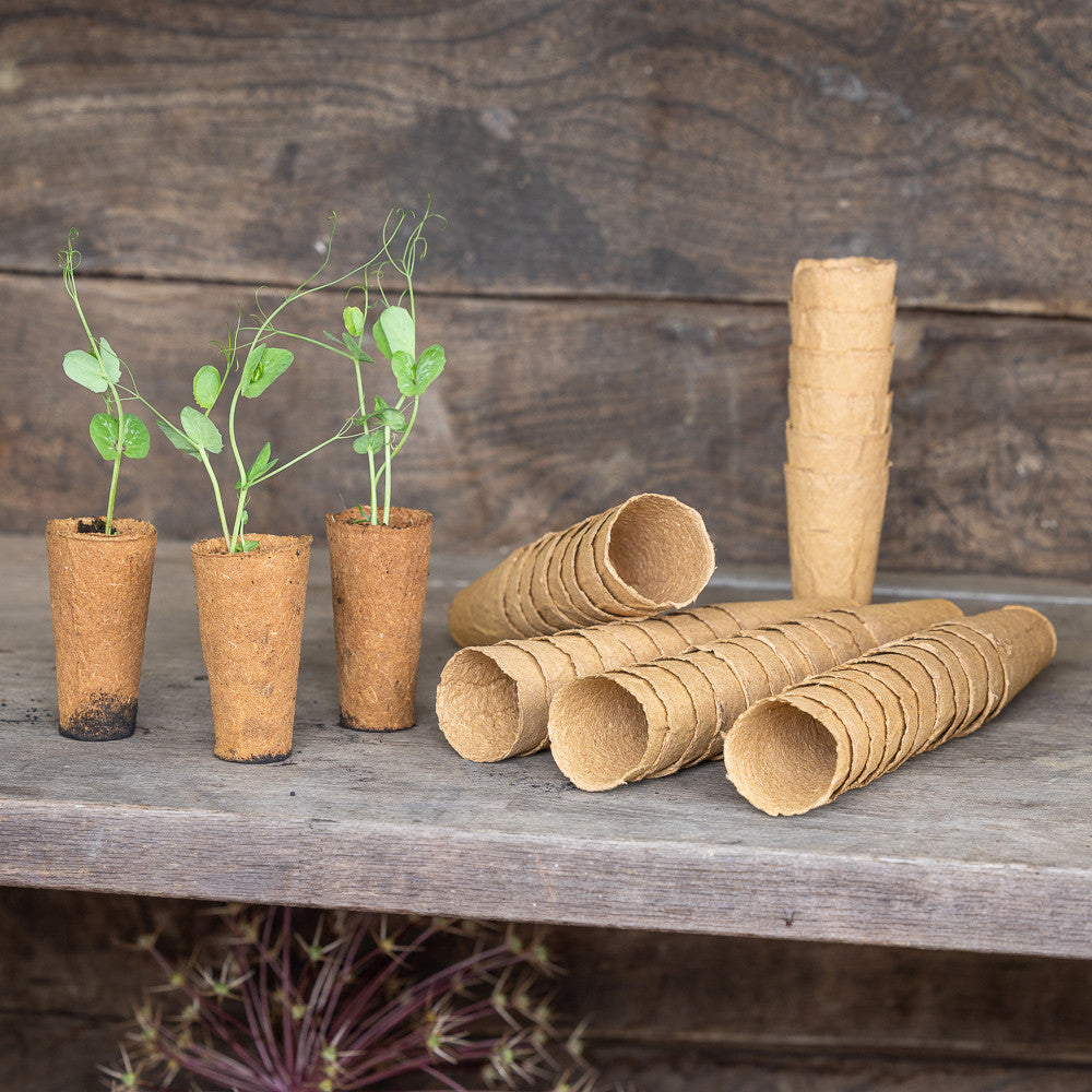 Sarah Raven Sweet Pea Fibre Pots