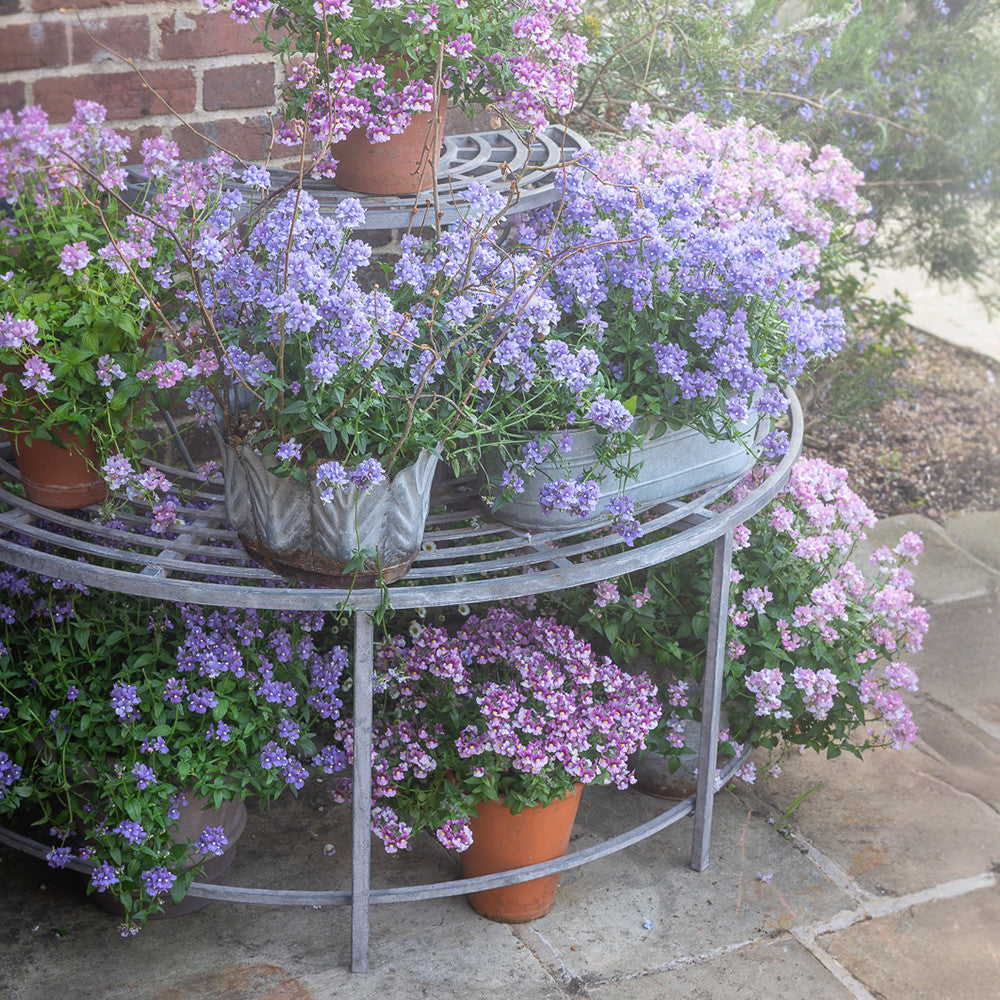 Two Tier Semi Circular Plant Theatre