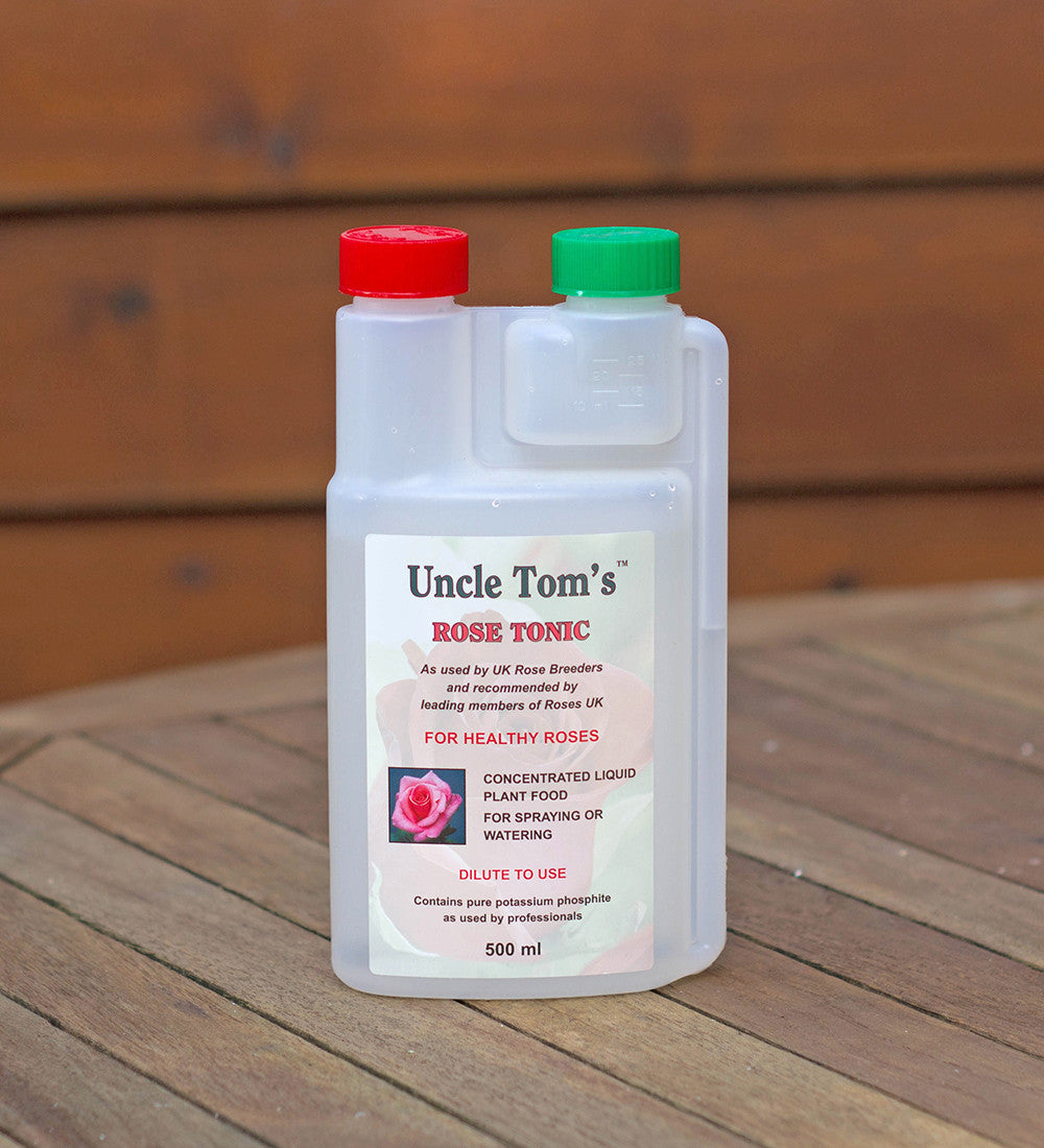 Rose Tonic