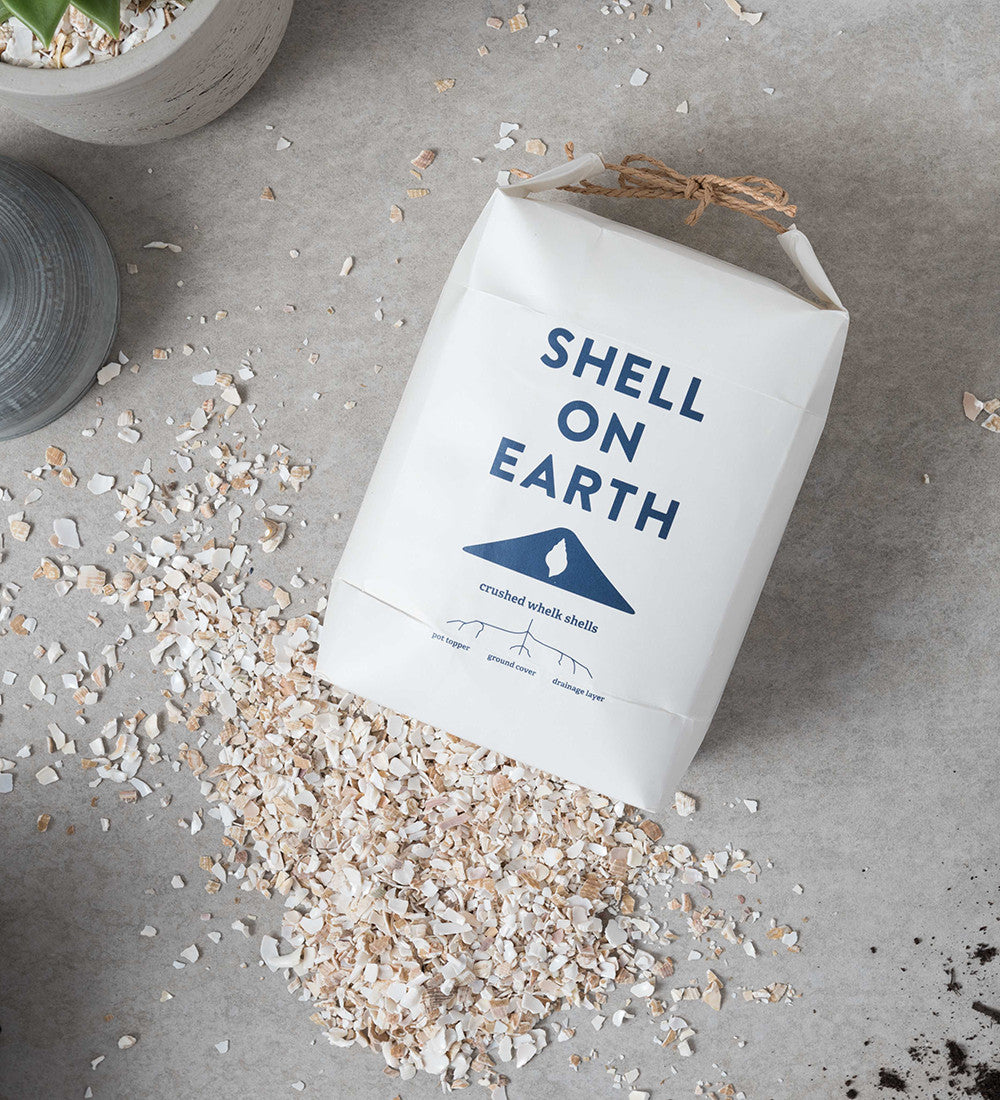 Shell on Earth