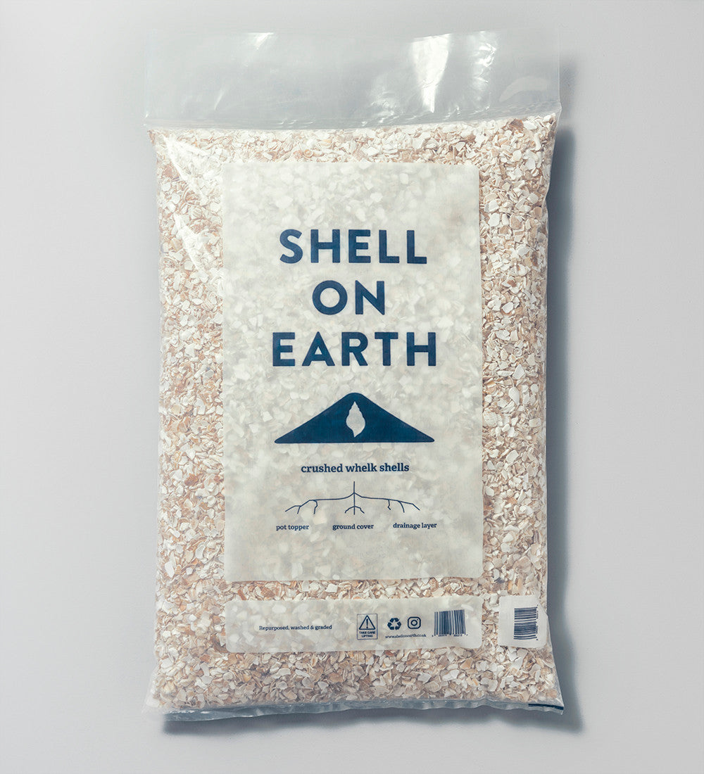 Shell on Earth