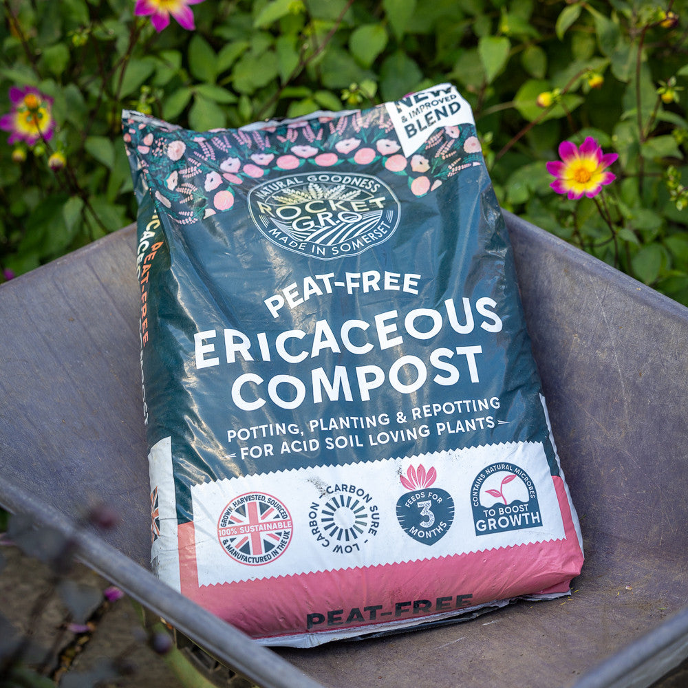 RocketGro Peat Free Ericaceous Compost