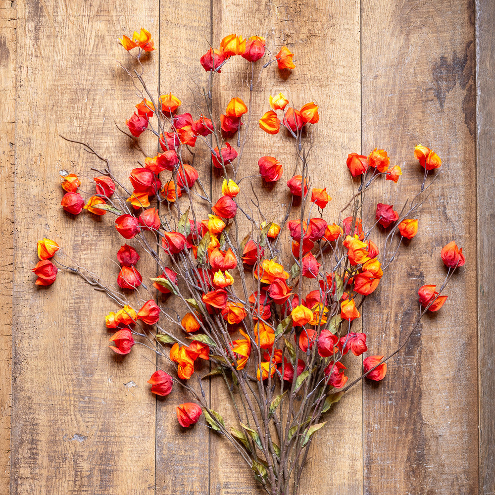 Chinese Lantern Branches