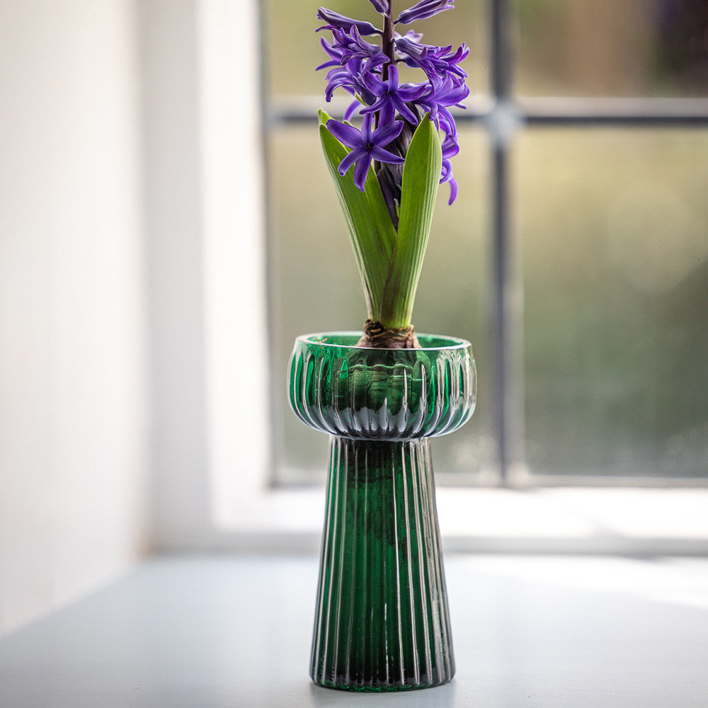 Hyacinth Forcers