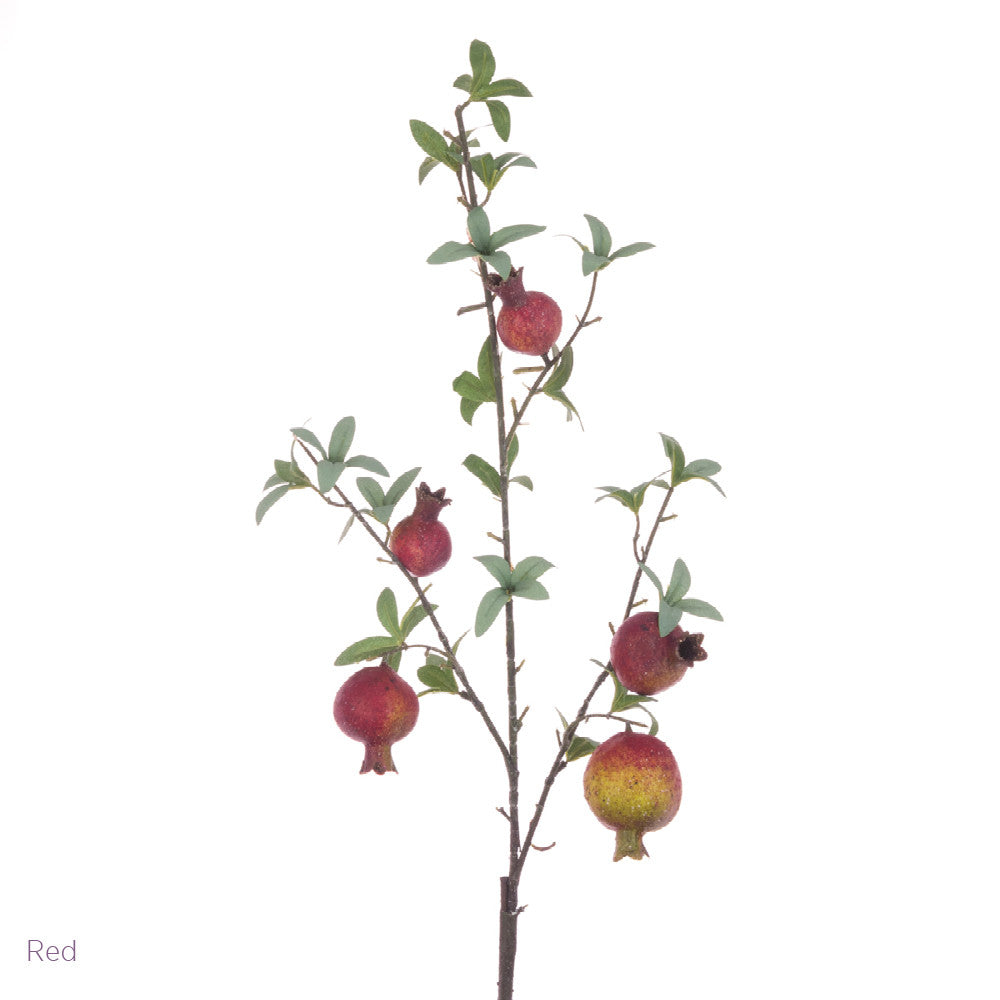 Pomegranate Spray
