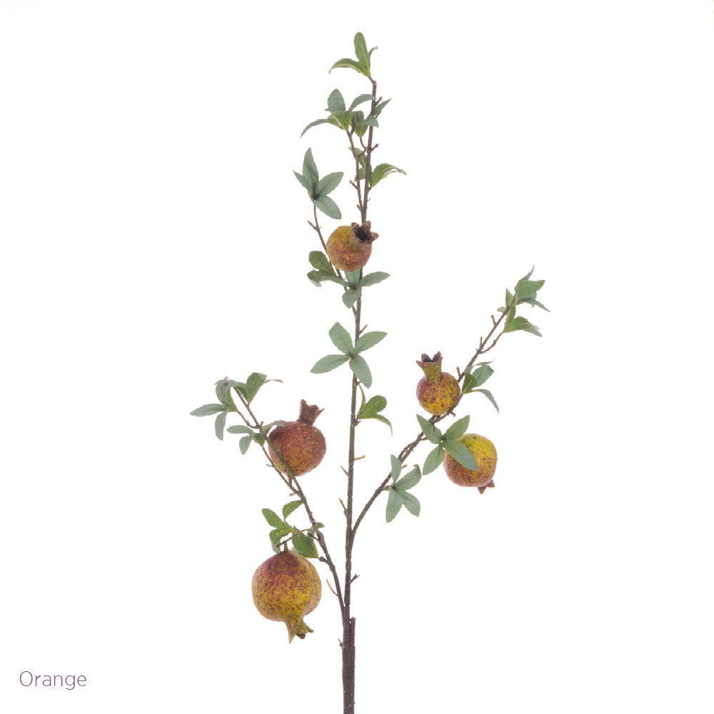 Pomegranate Spray