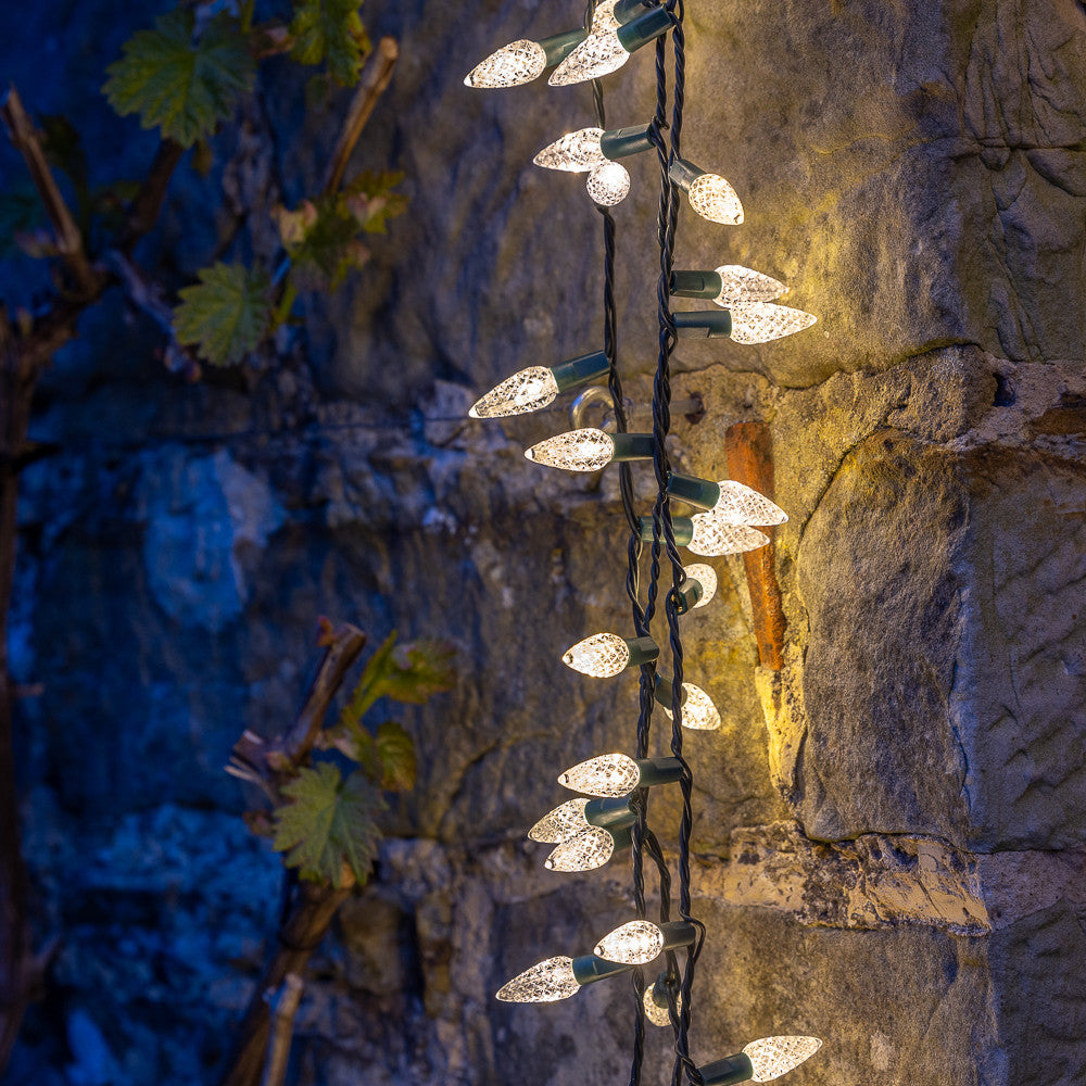 Pinecone Light Reel