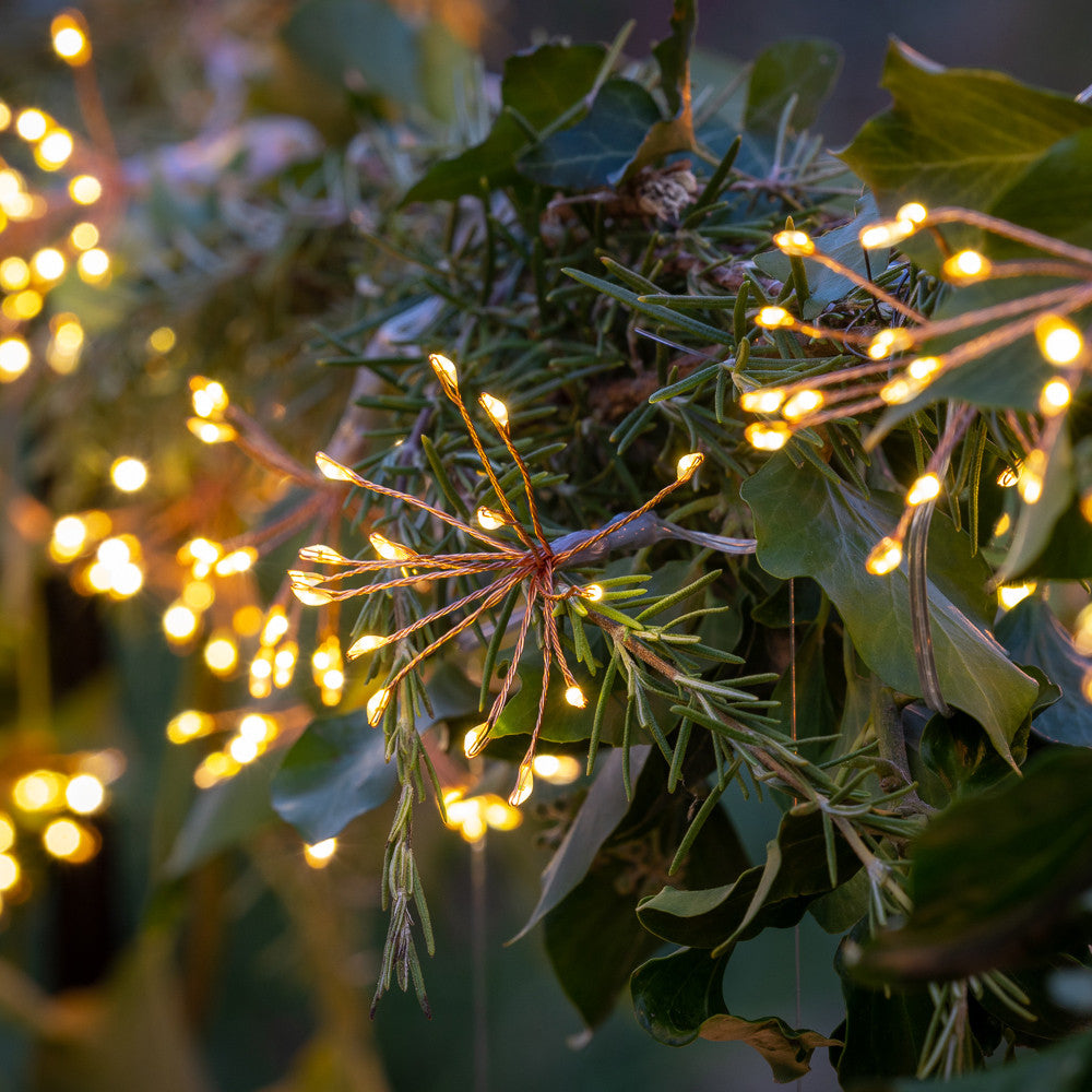 Mini Allium Light Chain
