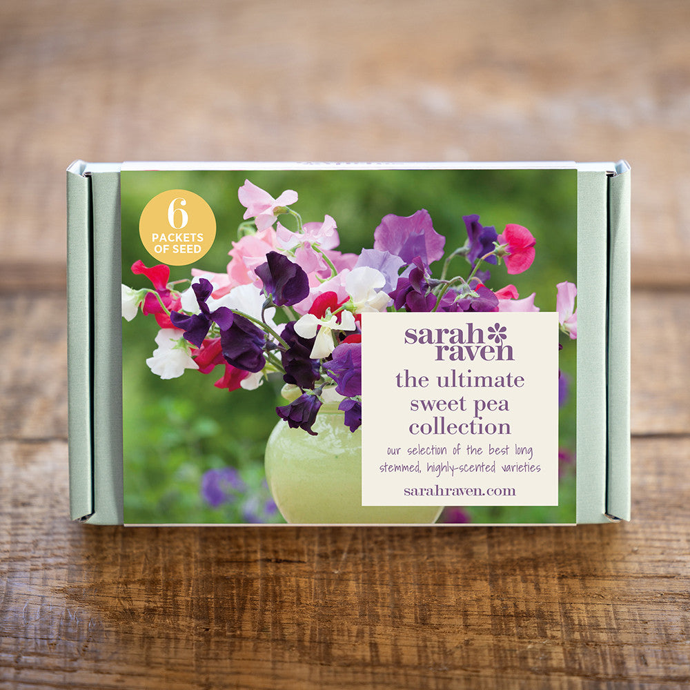 Ultimate Sweet Pea Seed Gift Box Collection