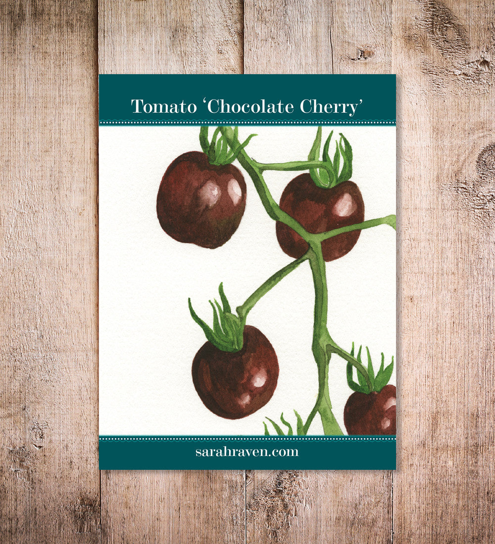 Tomato 'Chocolate Cherry'