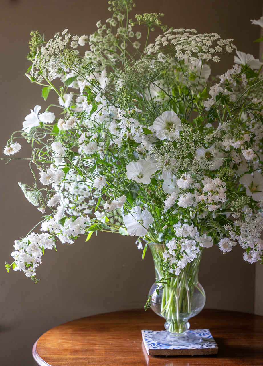 White Shades Meadow Collection
