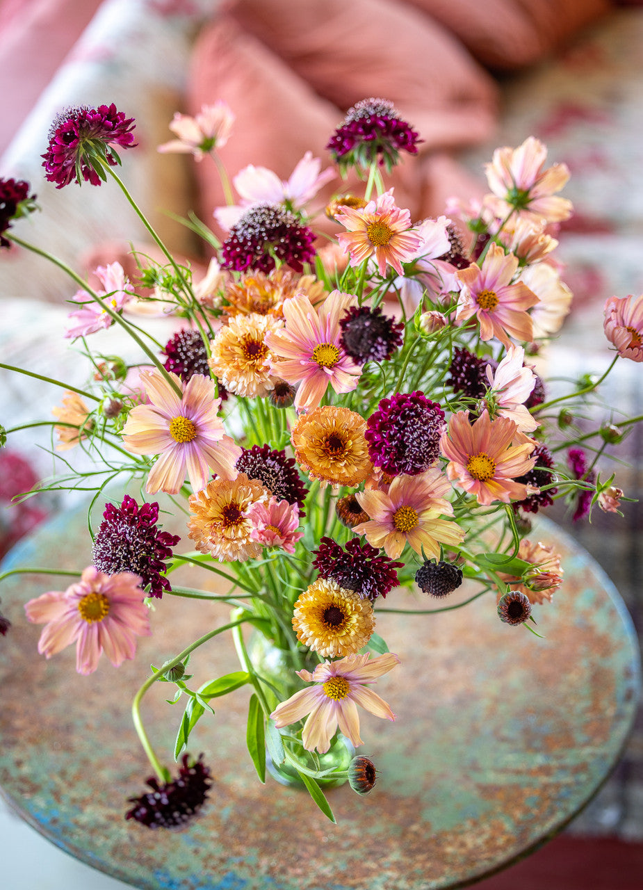 Harvest Bunch Collection