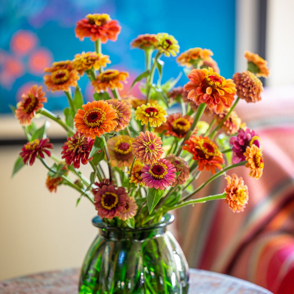 のの★薔薇と紫陽花　最高級綿100%セミダブル　クイーン仕立て直し Buy Zinnia elegans 'Queeny Mixed' | Youth and Old Age | Sarah Raven