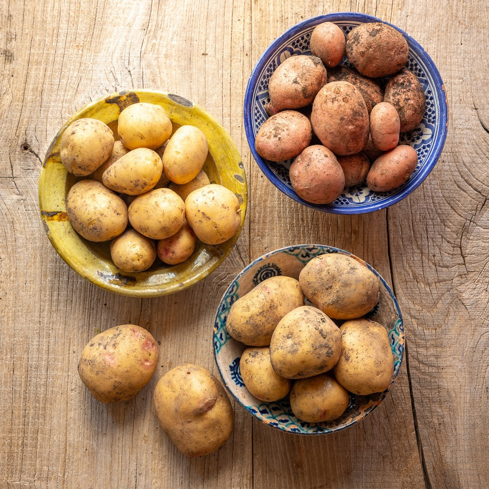 The Perch Hill Garden Friendly Potato Collection