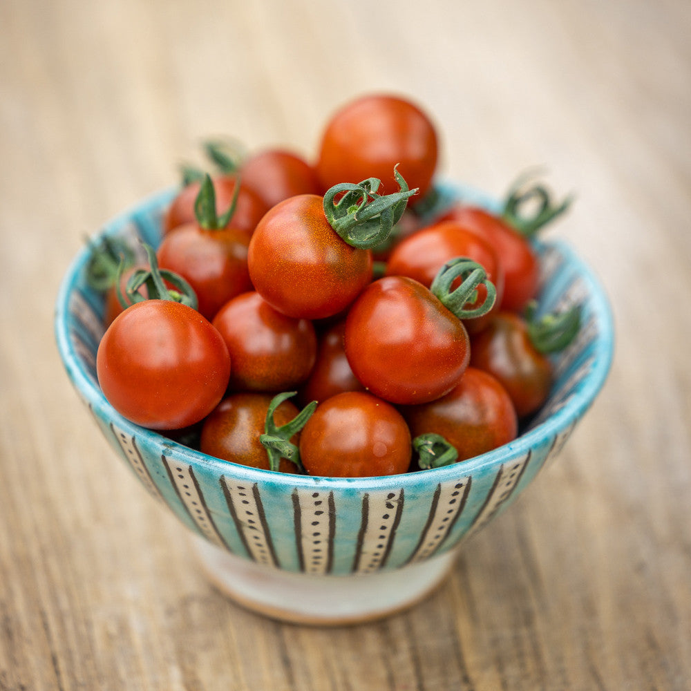 Tomato 'Garnet'